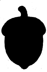 acorn1