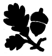 acornleaf1