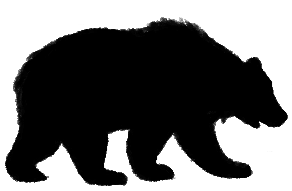 bear1