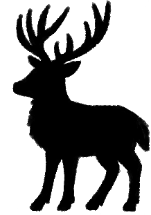 buckfull1