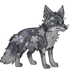 Archerpaw