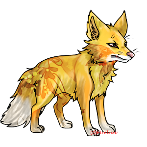 Scamp#270