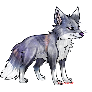 Netherwing
