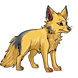 Kitsu#770