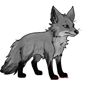 Juniper#256