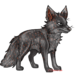 Mote#819