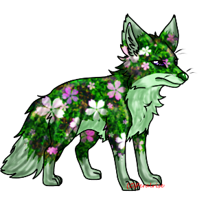 Thorn