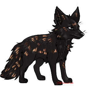 Dubh