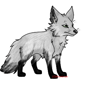 Frostbark