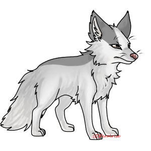 Shadowtail