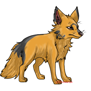 Willowbloom