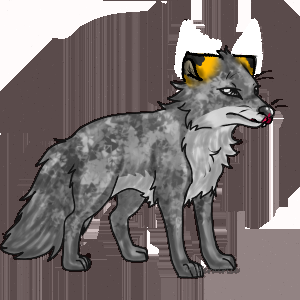 Toby Grey glitched