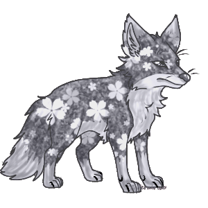 Moon’s Fluff